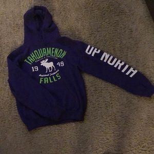 Purple Tahquamenon Falls (MI) Hooded Sweatshirt!